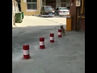 Прыг скок (vhs video)