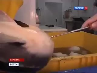 Видео от нины белоусовой