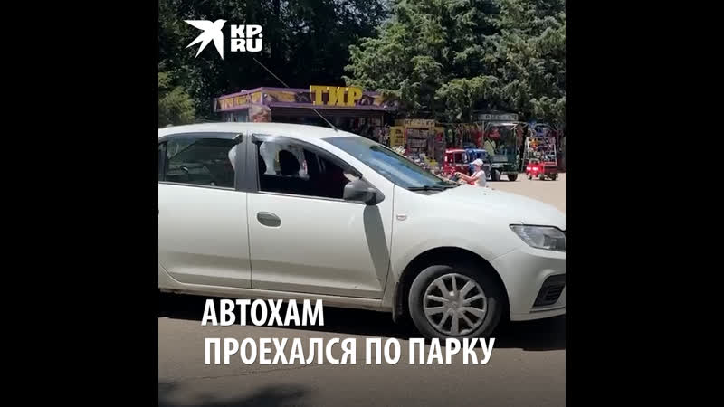 Автохам в парке