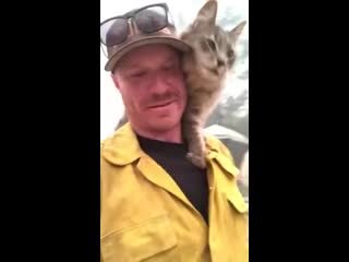 Кошачья благодарность (vhs video)